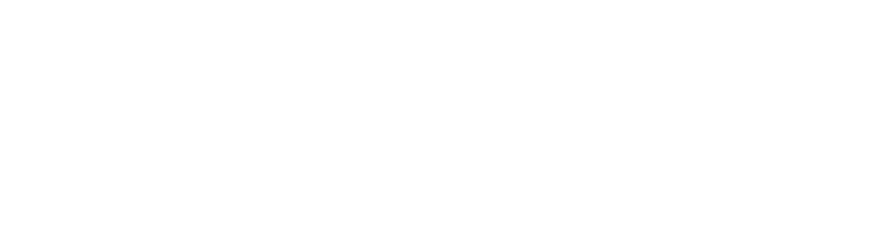 b+s germany - Logo